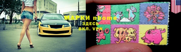 прущие грибы Инсар