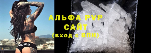прущие грибы Инсар