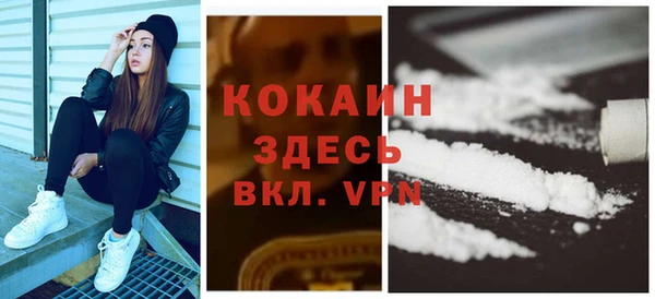 прущие грибы Инсар
