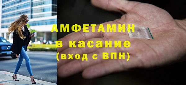 прущие грибы Инсар