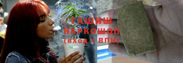 прущие грибы Инсар