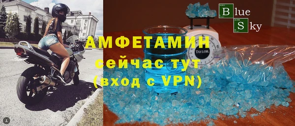 прущие грибы Инсар