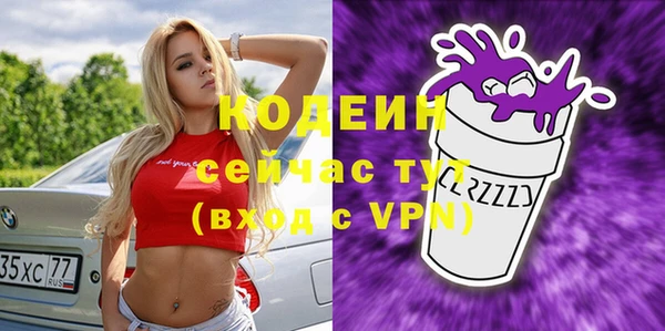 прущие грибы Инсар