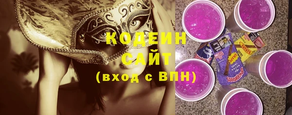 прущие грибы Инсар