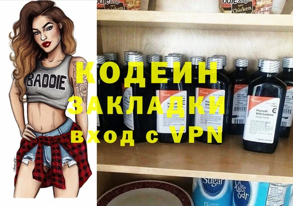 прущие грибы Инсар