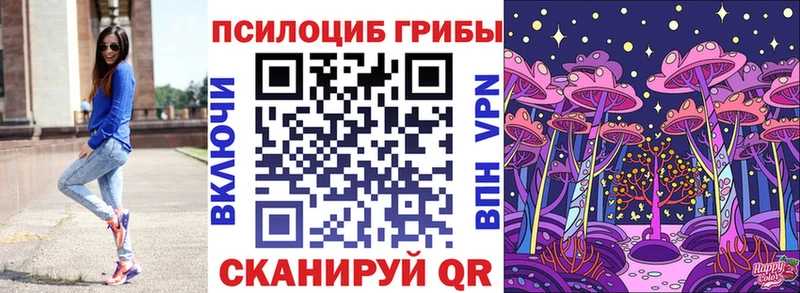 Купить  Вязьма  Псилоцибиновые грибы MAGIC MUSHROOMS 